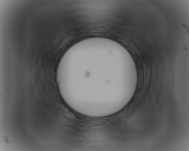 X0000097780609200803070915