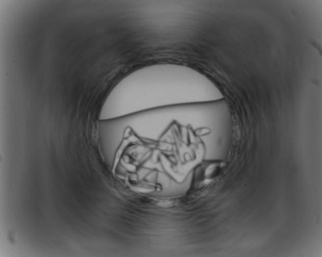 X0000097780611200803070915