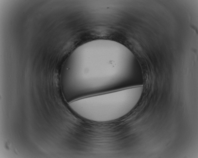 X0000097780612200803070915