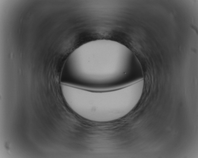 X0000097780613200803070914