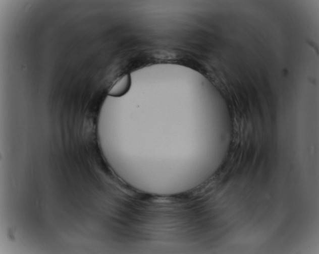 X0000097780614200803070914