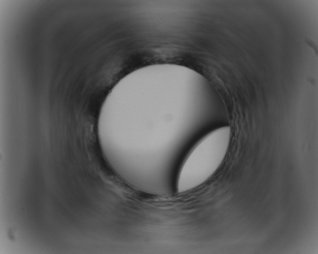 X0000097780615200803070914
