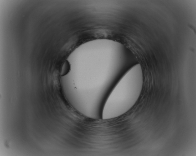 X0000097780616200803070914