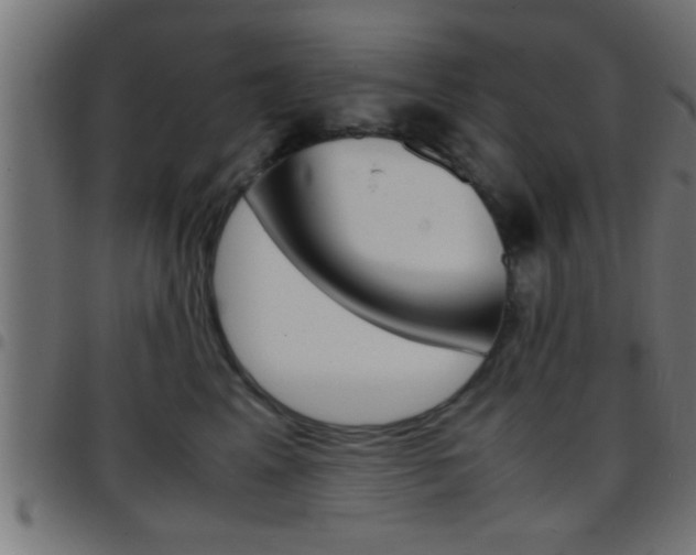 X0000097780617200803070914