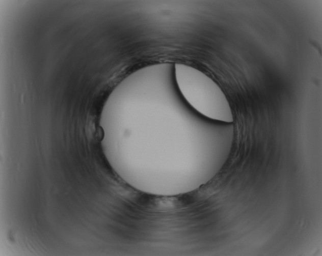 X0000097780618200803070914