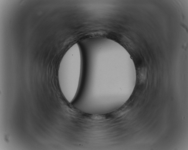 X0000097780619200803070914