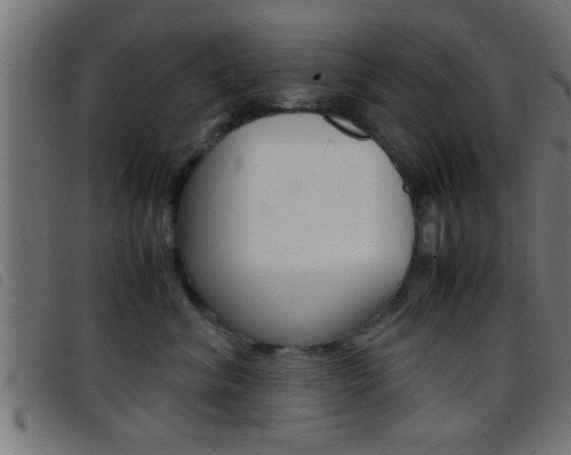 X0000097780620200803070914