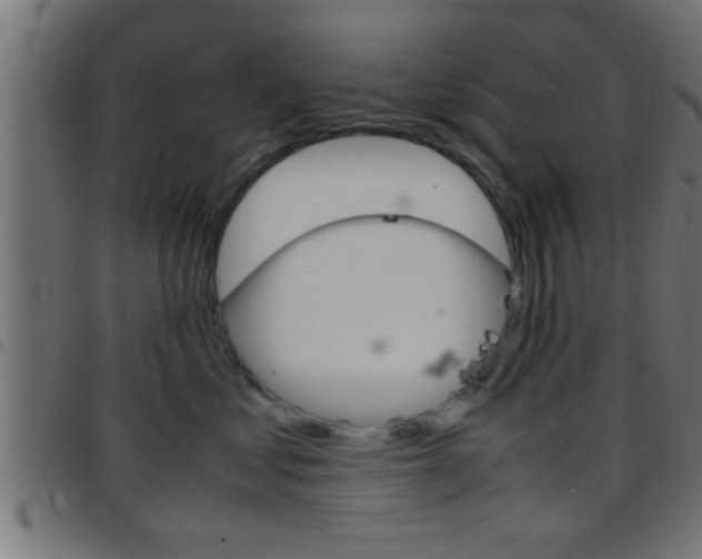 X0000097780621200803070914