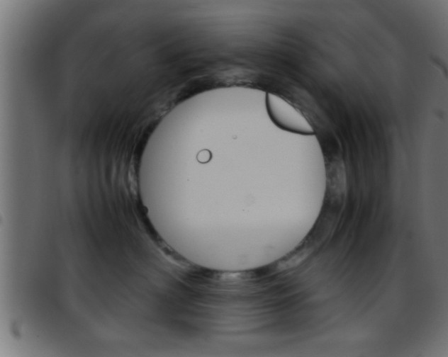 X0000097780622200803070914