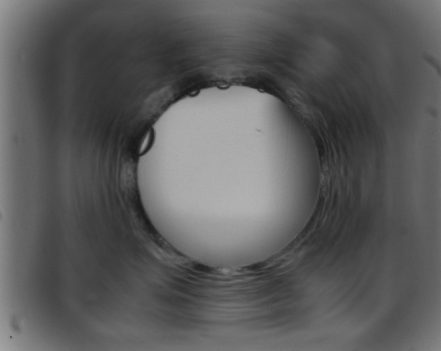 X0000097780623200803070914