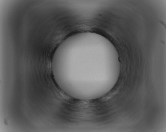 X0000097780624200803070914