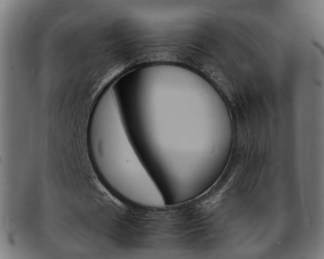 X0000097780625200803070914