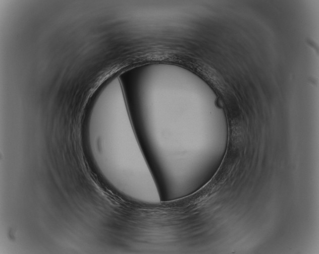 X0000097780626200803070914
