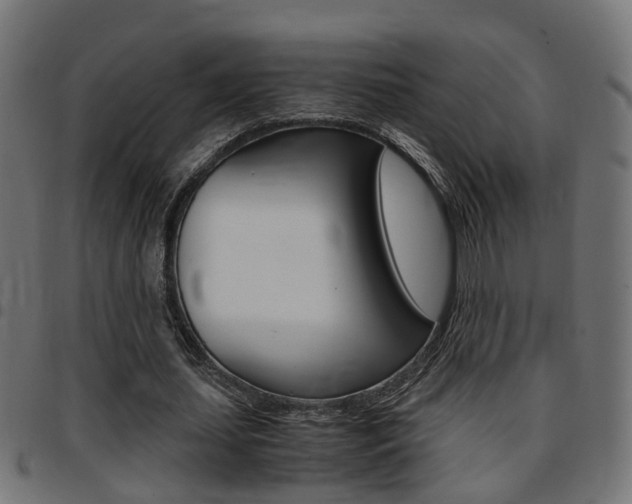 X0000097780627200803070914
