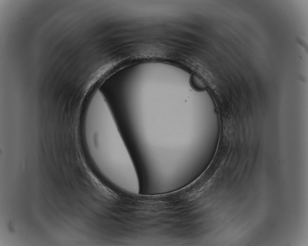 X0000097780629200803070914