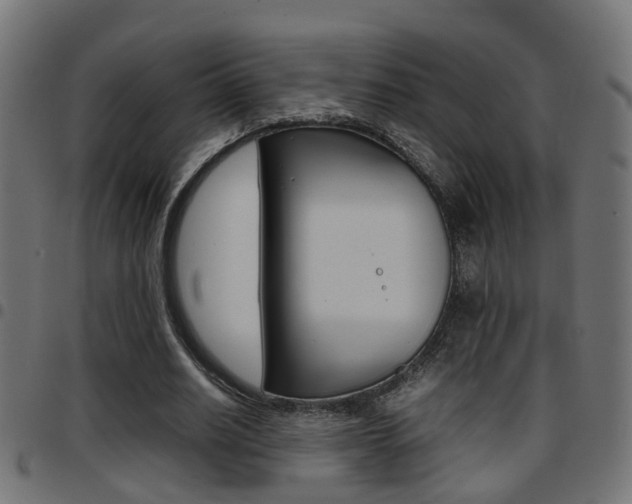 X0000097780630200803070914