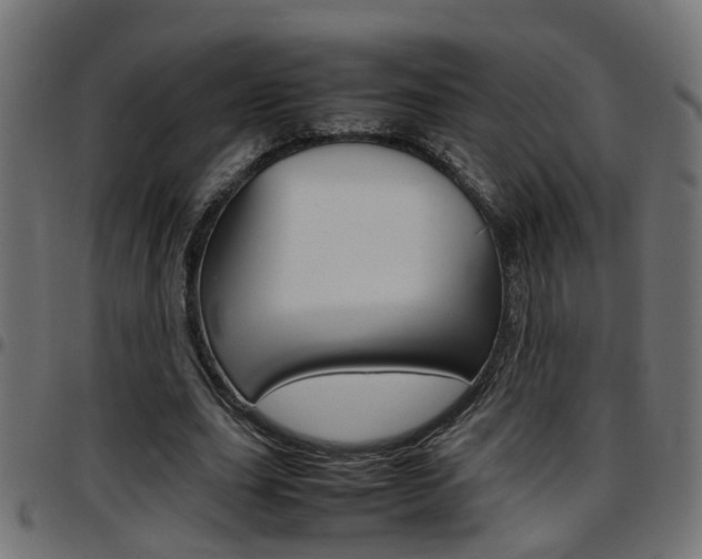 X0000097780631200803070914