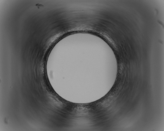 X0000097780632200803070914