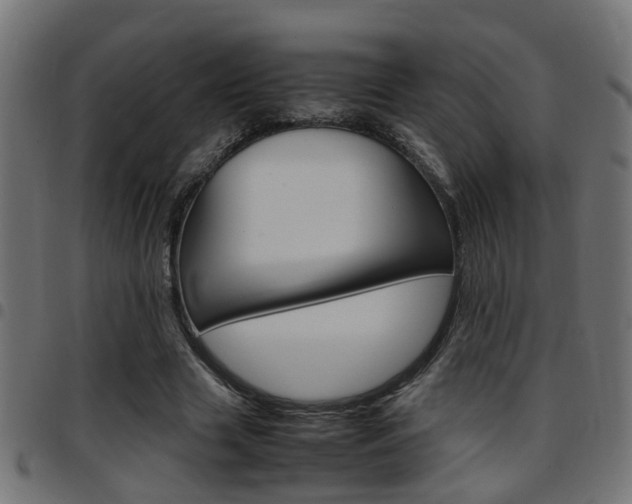 X0000097780633200803070914