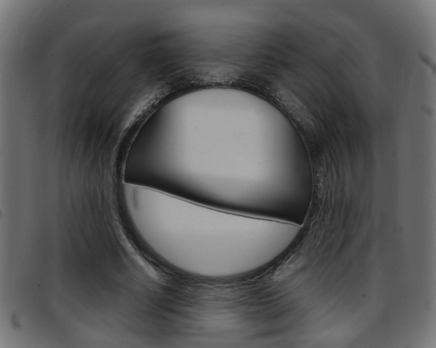 X0000097780634200803070914