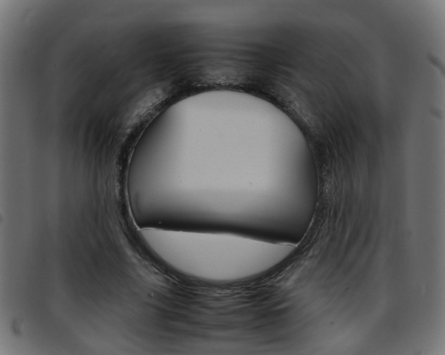 X0000097780635200803070914