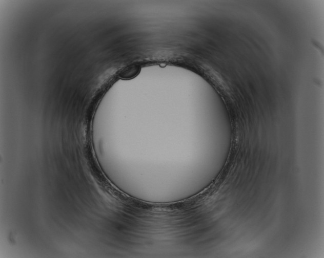 X0000097780636200803070914