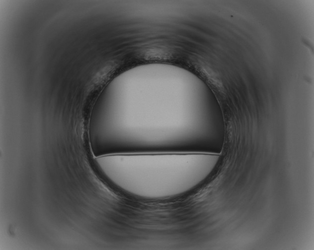 X0000097780637200803070914