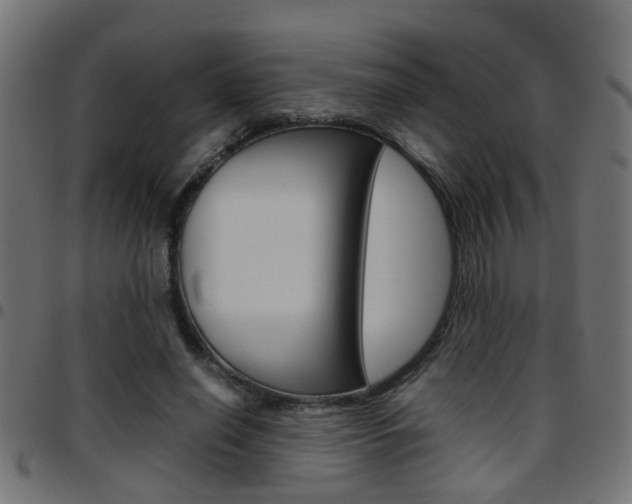 X0000097780638200803070914