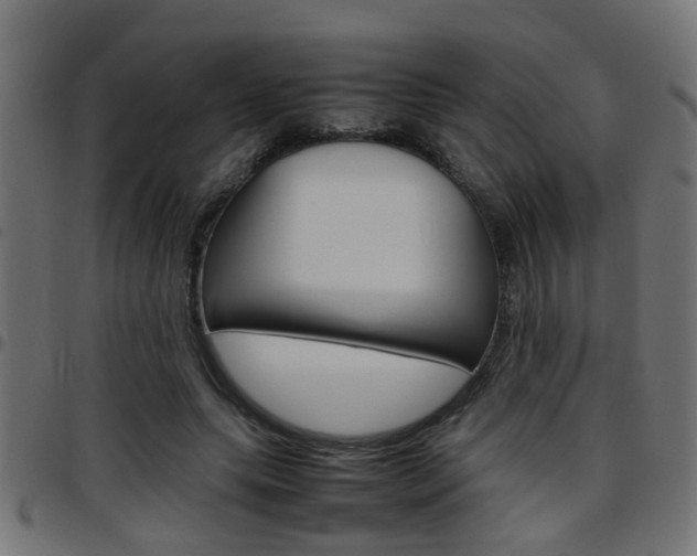 X0000097780639200803070914