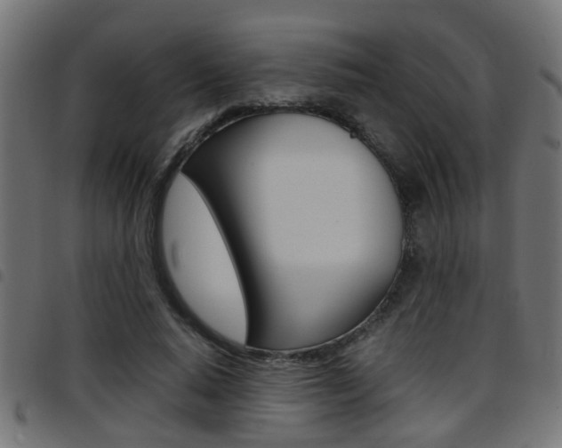X0000097780640200803070914
