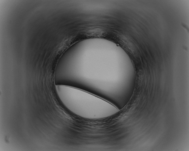 X0000097780641200803070914