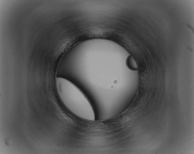 X0000097780642200803070914