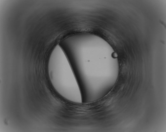 X0000097780643200803070914