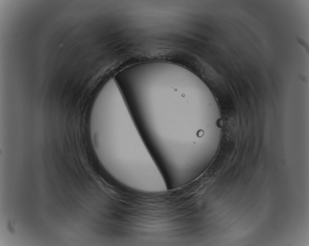 X0000097780644200803070914