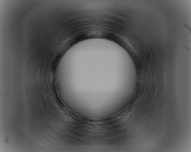 X0000097780645200803070914