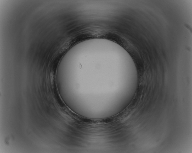 X0000097780646200803070914