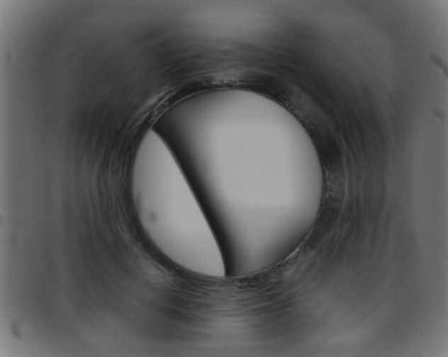 X0000097780648200803070914