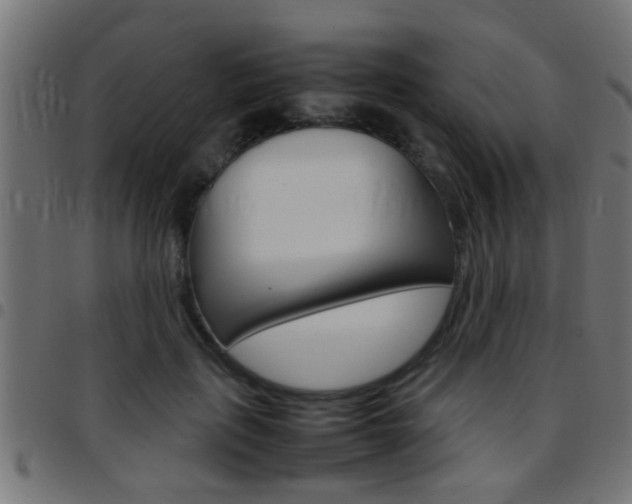X0000097780651200803070914