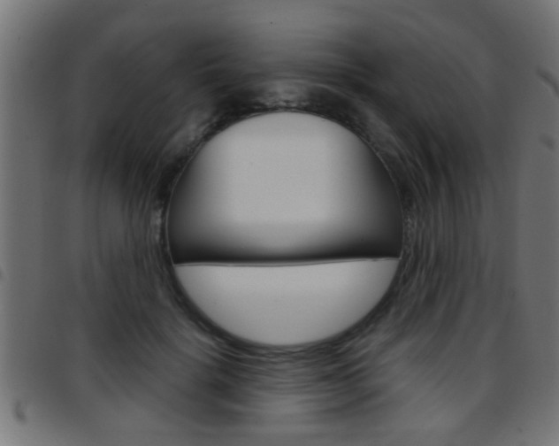 X0000097780652200803070914