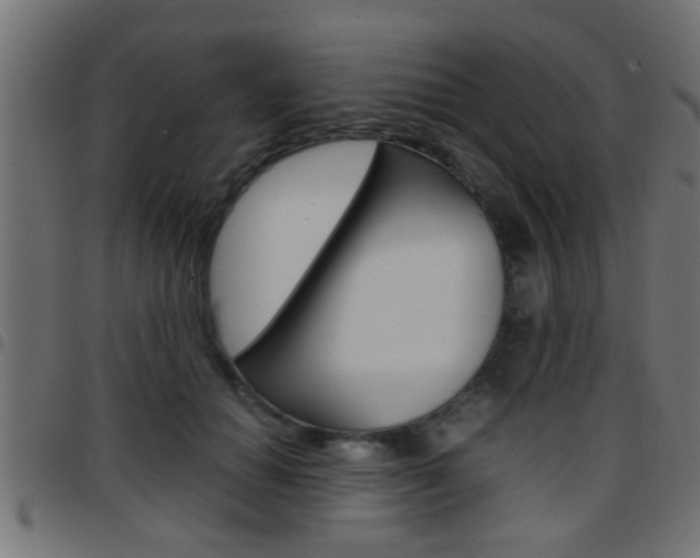 X0000097780654200803070914