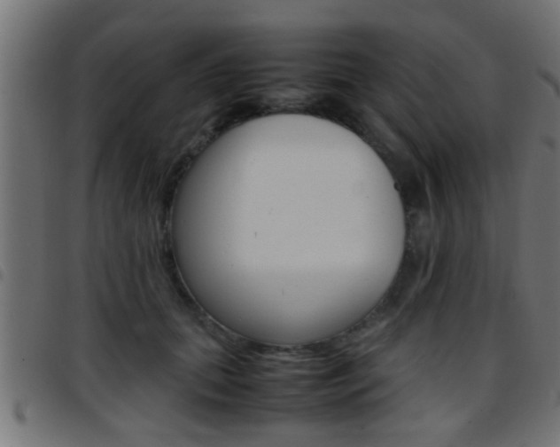 X0000097780655200803070914