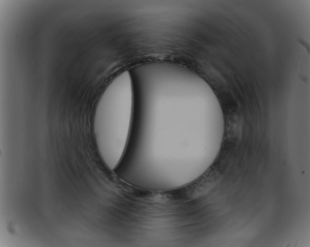 X0000097780656200803070914