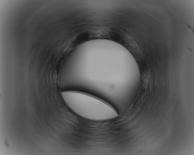 X0000097780657200803070914