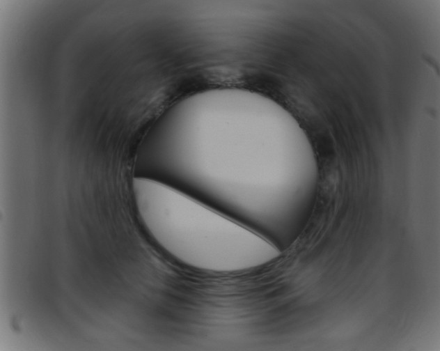 X0000097780658200803070914