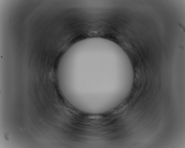 X0000097780659200803070914