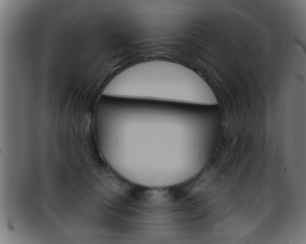 X0000097780660200803070914