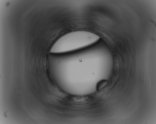 X0000097780661200803070914