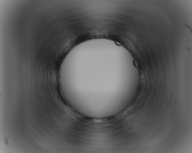 X0000097780662200803070914