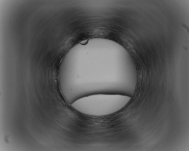 X0000097780663200803070914