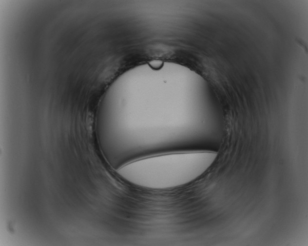 X0000097780664200803070914